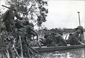 Mangrove: Vietnam War