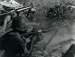 Cong: Vietnam War