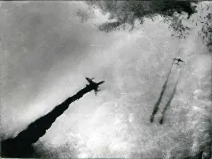Vietcong: Vietnam War