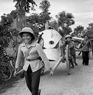 Downed: Vietnam War