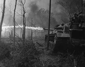 Quang: Vietnam War. US Marine flame tanks burn ?
