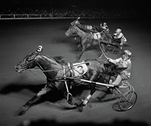Trotters: Side view of 3 runners in night-time harness