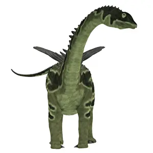 Ligabuei: Front view of an Agustinia dinosaur