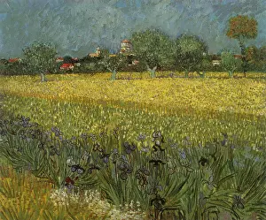 Arles: View of Arles with Irises, by Van Gogh