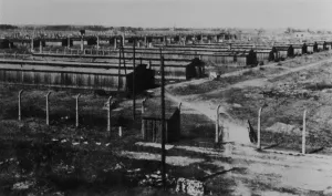 Transformed: VIEW OF AUSCHWITZ