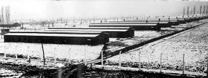 Annihilation: A view of Auschwitz-Birkenau concentration camp showing the