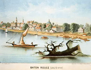 Pelican: View of Baton Rouge