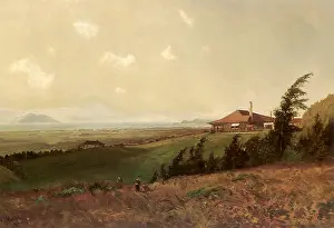 Piedmont: View of Bay from Piedmont