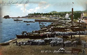 Funchal: View of the beach at Funchal, Madeira
