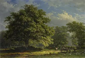 Loggers: View in the Bentheim Forest