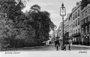Bollards: View of Berkeley Square, London