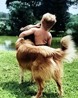 Back View of Boy and