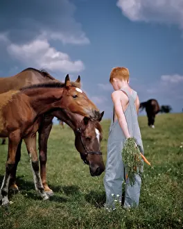 Preteen: Back View Boy Bib Overalls Feeding Horse