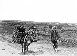 Loaded: A view of a boy beside a donkey and hinged creels with turf