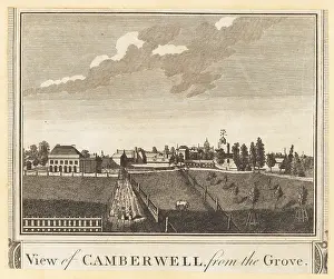 Orchards: View of Camberwell from the Grove, 1784