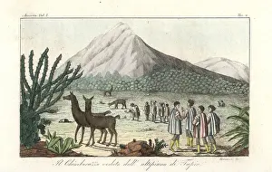 Poncho: View of the Chimborazo volcano in the Andes
