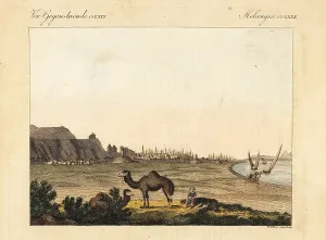 Goetz: View of the city of Cairo, Egypt, with its