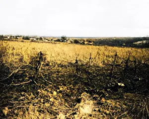 Combles: View of Combles from old German trench, WW1