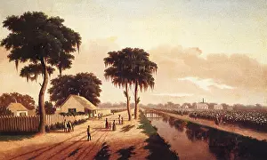 Civel: View of a Cotton Plantation