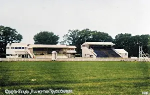 Plumpton: View of course and stands, Plumpton racecourse