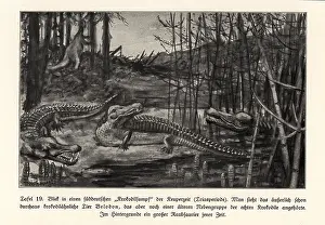 Leben: View of a crocodile swamp, south Germany, Triassic period