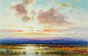 Bowser: View of Dartmoor, Devon