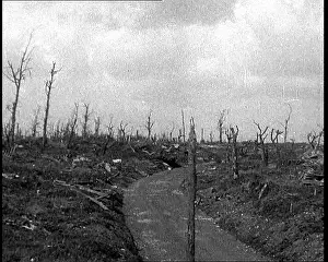 Desolated: View of a Desolated Countryside. Trees Are