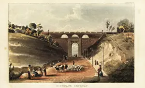 Gaslight: View of drovers driving cattle and sheep under