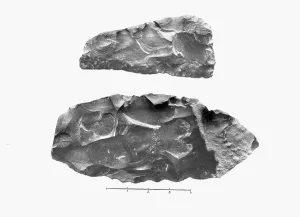 Flint: A view of two Egyptian Palaeolithic flint implements