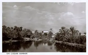 Persia: View at Ein Cassari, Bahrain, Persian Gulf
