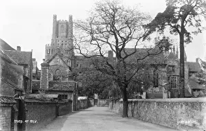 Majestic: View of Ely Cathedral