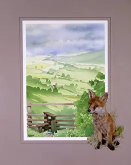Hedgerow: View down an English valley with a young Fox