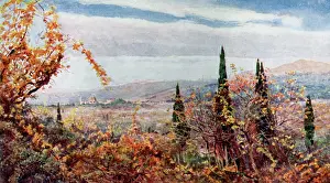 Tuscan: View of Florence, Tuscany, Italy