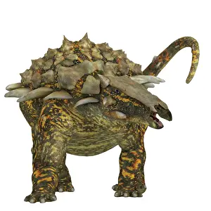 Morrison: Front view of a Gargoyleosaurus dinosaur