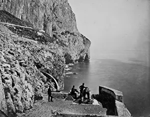 Talpidae: View at the back of Gibraltar