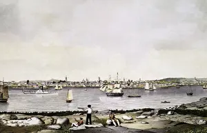 Fitz: View of Gloucester, from Rocky Neck