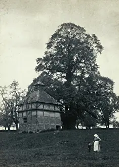 Dovecote: View of a half-timbered dovecote at Oddingley