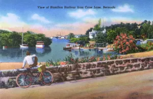 Overeas: View of Hamilton Harbour from Crow Lane, Bermuda