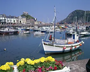 Hillsborough: View of the harbour, Ilfracombe, Devon