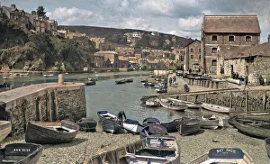 Bertie: View of the harbour, Newquay, Cornwall