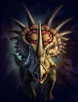 Styracosaurus: Full on view of the horned dinosaur, Styracosaurus