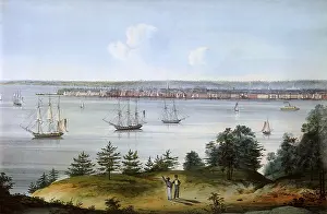 Scattered: View of the Hudson