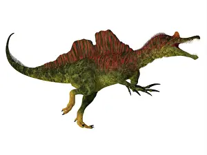 Laosensis: Side view of a Ichthyovenator dinosaur