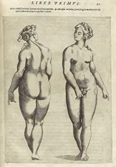 Idealized: Front and back view of an idealized, fully ?