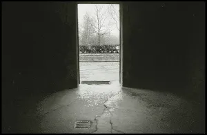 Morbid: View from inside gas chamber Auschwitz
