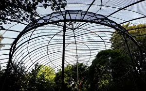 Latticework: View from below inside la grande voliere (the