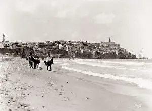 Aviv: View of Jaffa, Tel Aviv in modern Israel