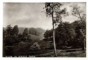 Sevenoaks: View in Knole Park, Kent