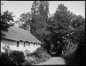 Overhanging: View of a lane in Dunster with a low thatched cottage