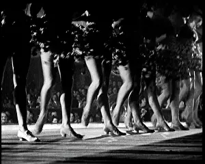 Folies: A View of the Legs Of Female Performers Dancing